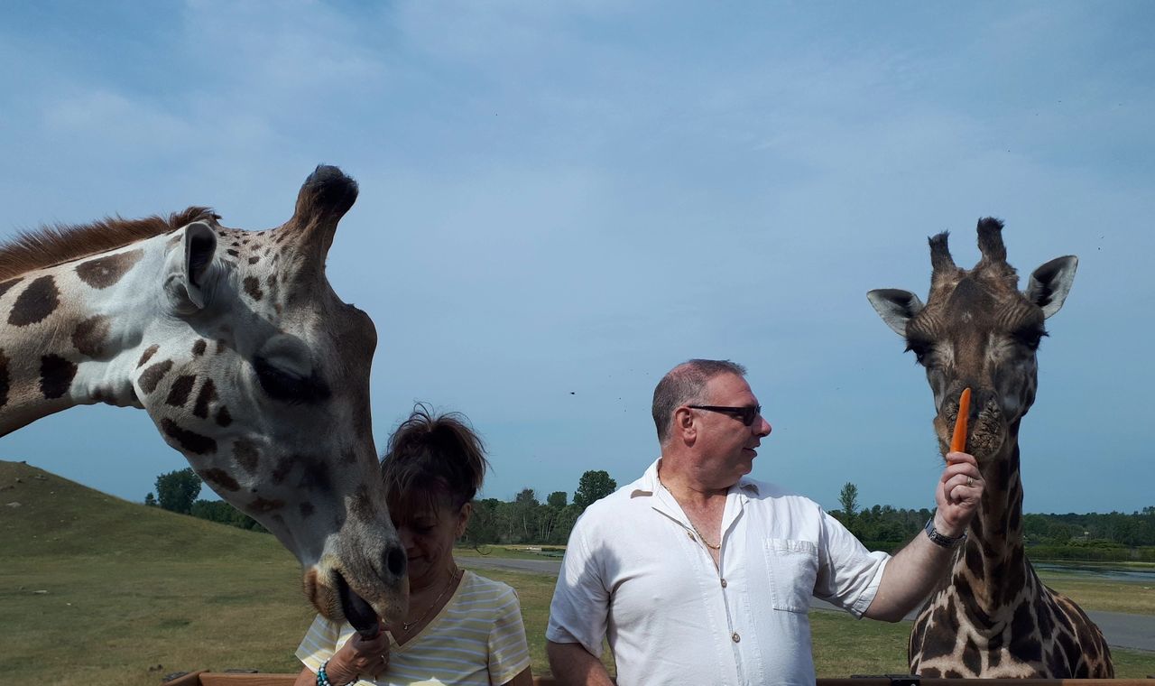 Ivana and I feeding giraffes