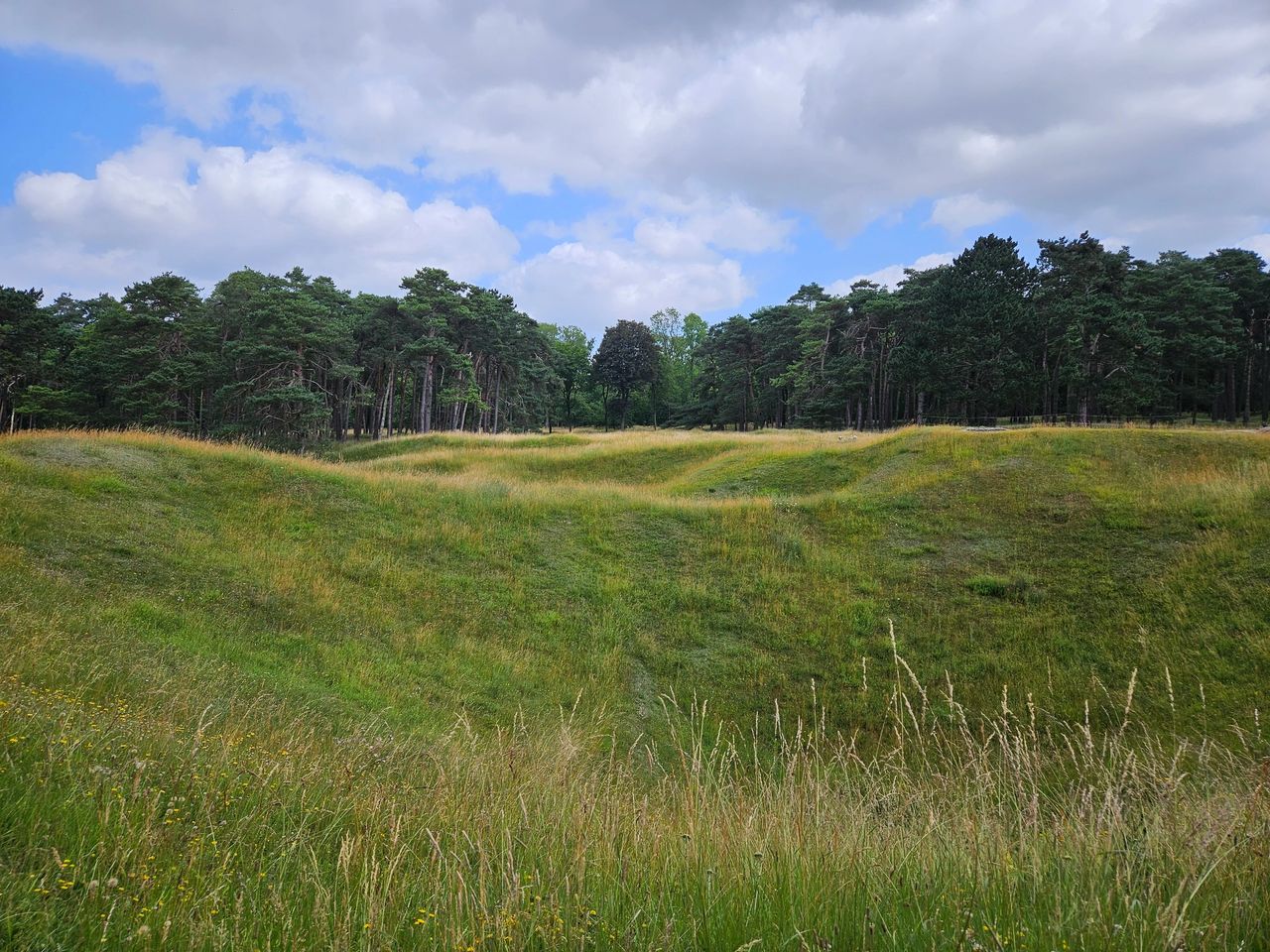 This area was shaped by shell craters, facing overGrassy rolling hills and dunes. A high chance there are still active shells in the area causes it to be fenced off.