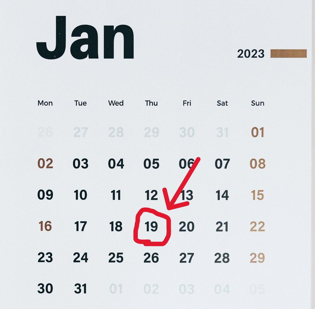 A picture of a January calendar with January 19th circled. 