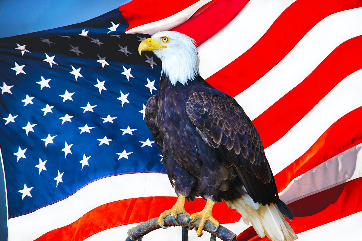 An eagle stands in front of an American flag