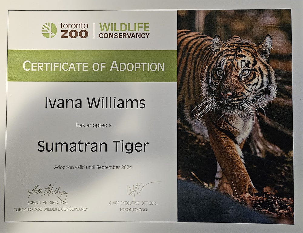 The Sumatran Tiger Adoption Certificate in my wife’s name.