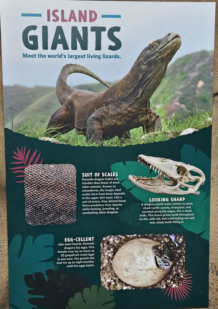 A sign explaining facts about the Komodo Dragon