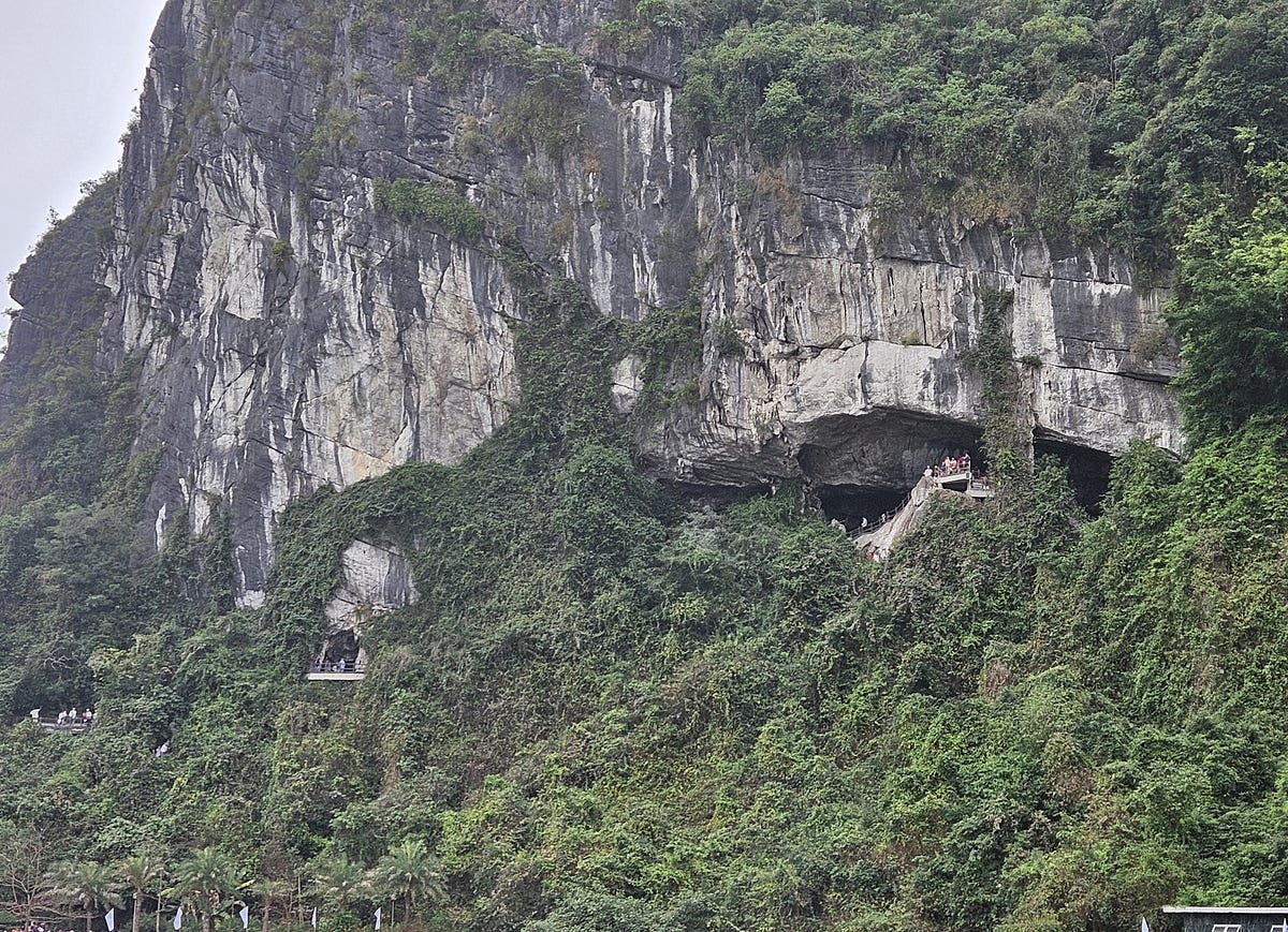 Grass and tree-covered limestone rock wall with a massive cave and viewing area as seen from the water in Ha Long Bay, Vietnam