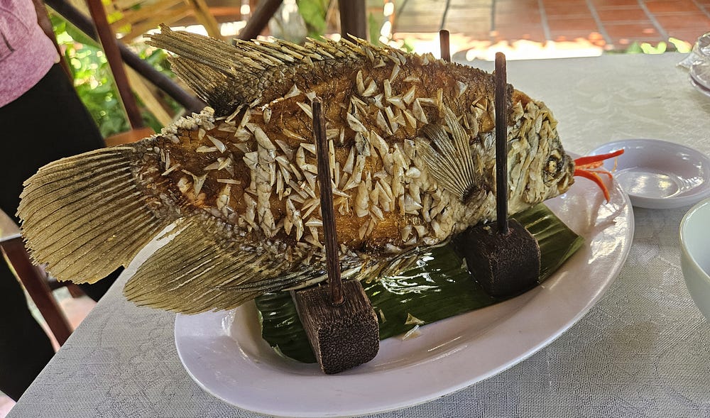 Elephant ear fish, held upright in a simple wooden holder, sits on a plate. Chili peppers hang out of its mouth.