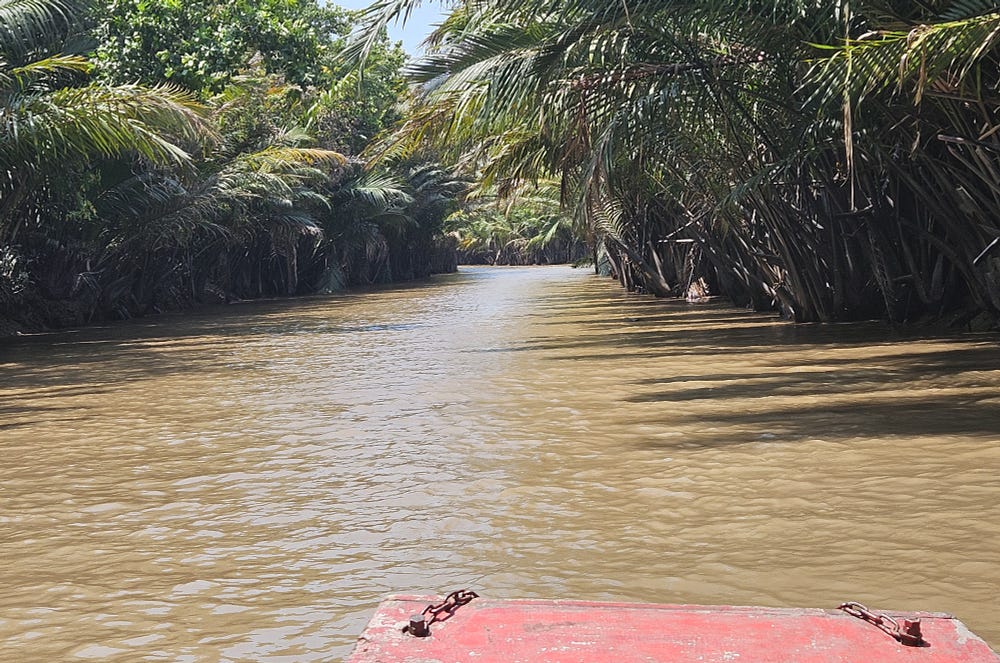 Our boat glides along the water of a Mekong River tributary. Palm trees almost completely form a canopy overhead.