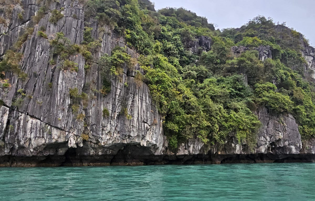 Tide levels can be seen underneath the karst as water carves into the limestone. Ha Long Bay, Vietnam