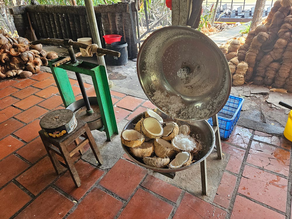 A large bowl of coconut husks sits beneath a simple machine to extract and shred the coconut.