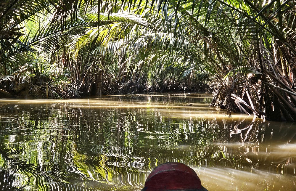 A boat heads down a small waterway. Palm trees create a canopy over the water.