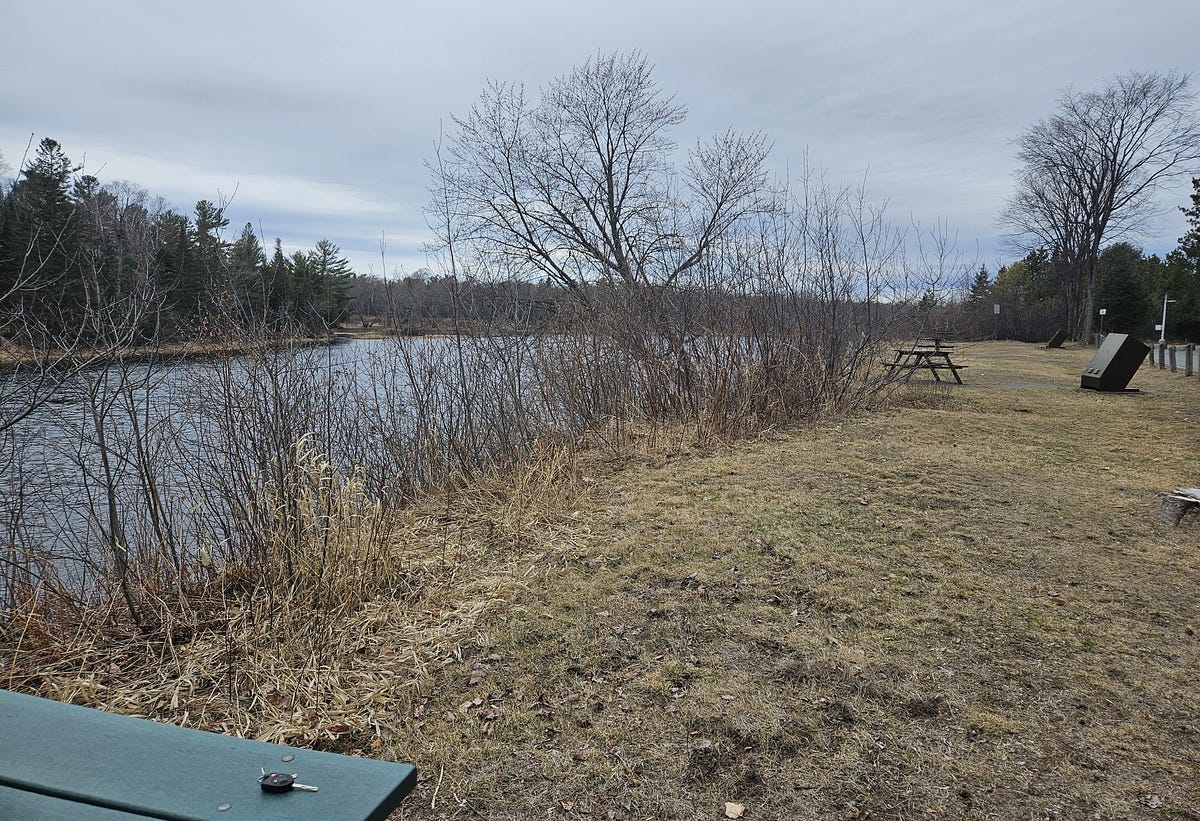 A small picnic area on the bank of a river. Grey sky and dull grass of spring after the thaw.