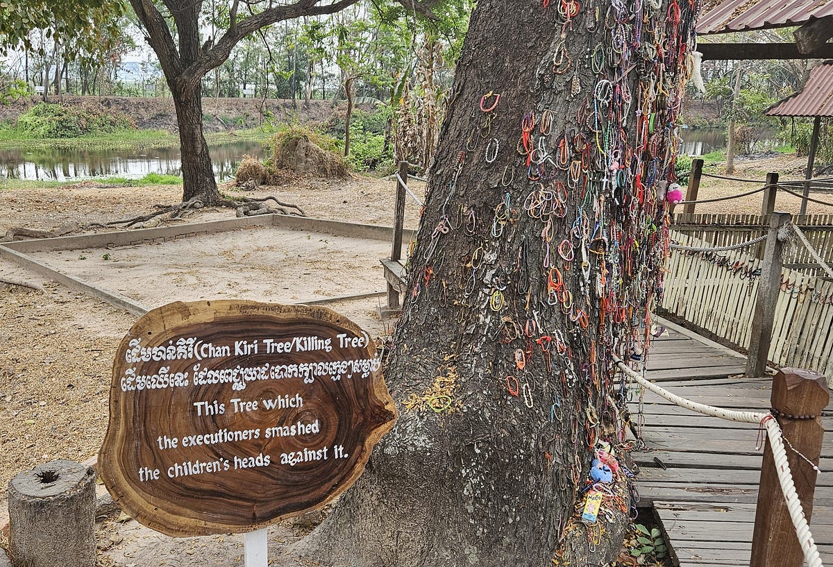 A large tree trunk, covered in many little bracelets. A sign denotes the tree as ‘The Killing Tree’